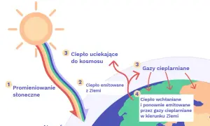 Efekt cieplarniany: jak działa i jakie niesie ze sobą zagrożenia?