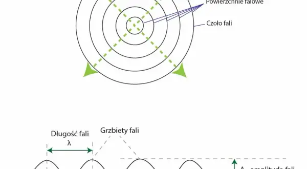 Jakim zjawiskom ulegają fale mechaniczne i dlaczego są tak fascynujące?