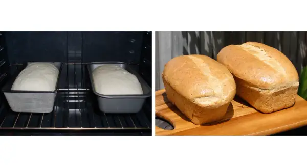 Pieczenie chleba to zjawisko fizyczne i reakcja chemiczna – co musisz wiedzieć