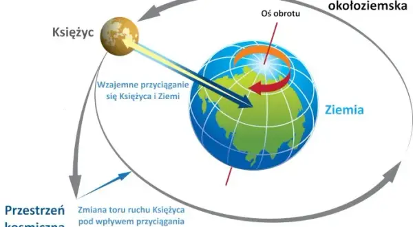 Czy zjawisko grawitacji występuje tylko na Ziemi - poznaj zaskakujące fakty