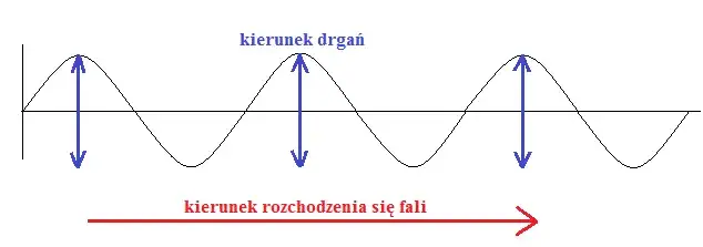 Zdjęcie Jakim zjawiskom ulegają fale mechaniczne i dlaczego są tak fascynujące?